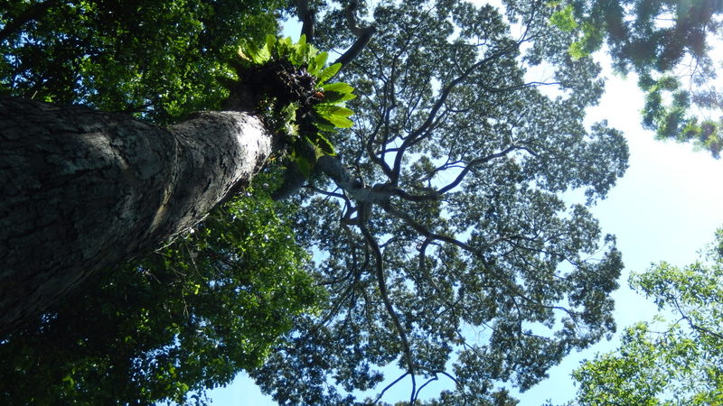 0784 DSCN0712